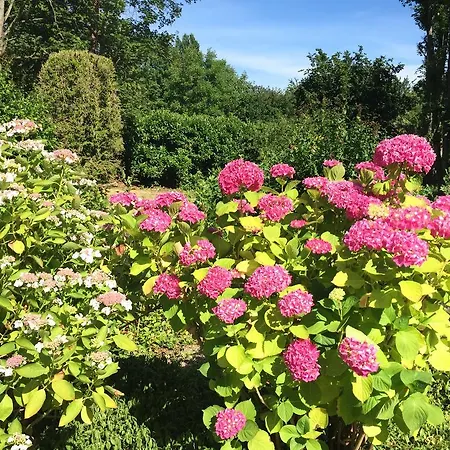 Loire Valley Medieval Getaway Rochecorbon Camera foto