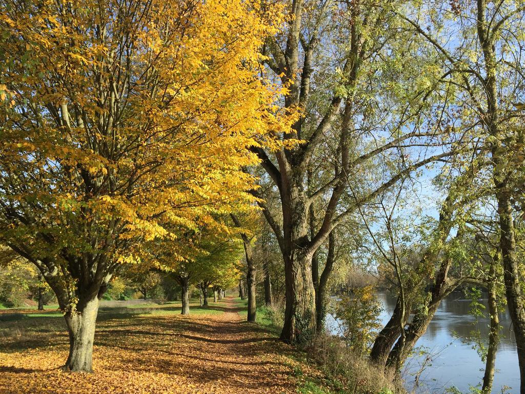 Loire Valley Medieval Getaway * Rochecorbon