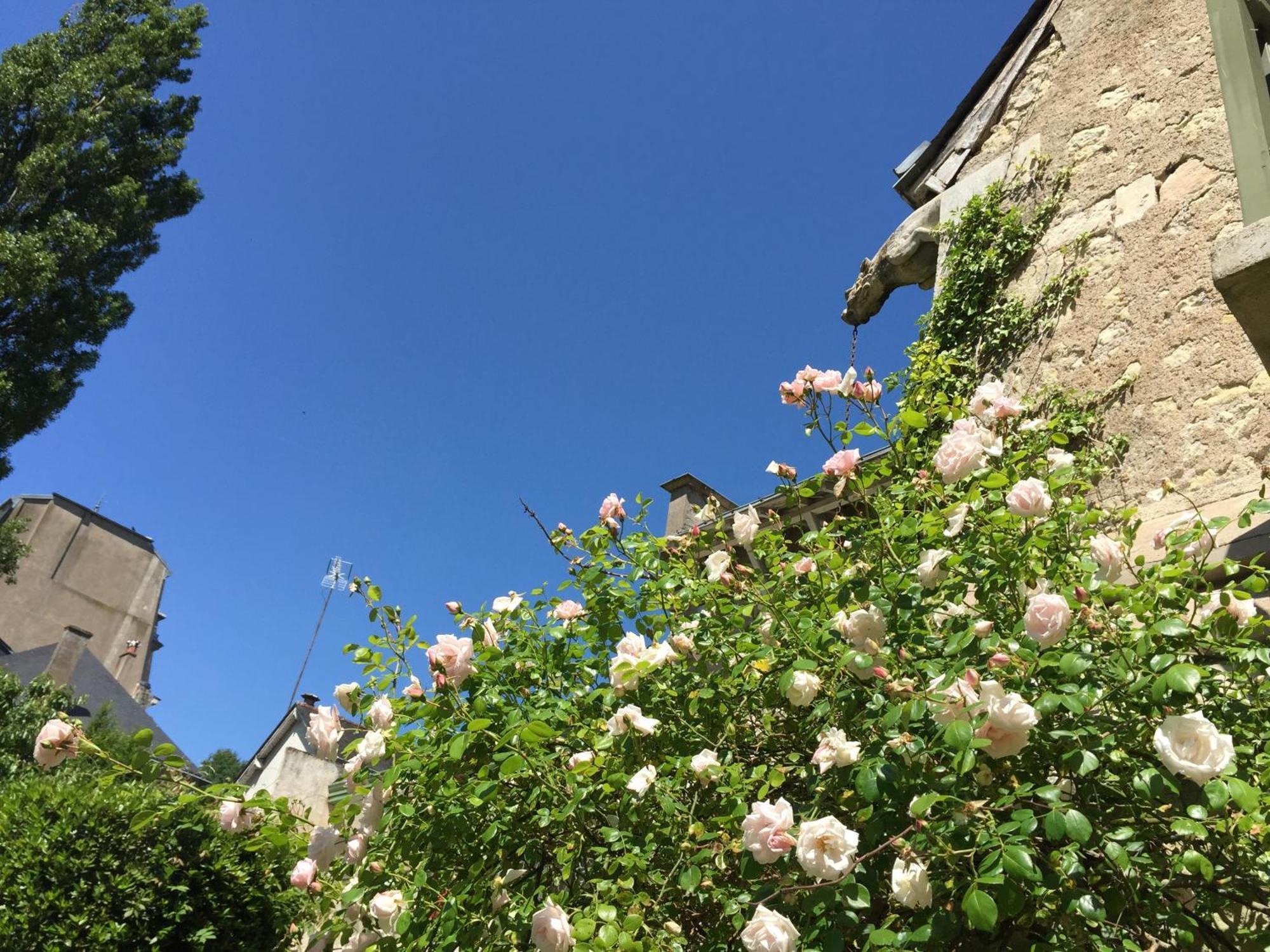 Holiday home Loire Valley Medieval Getaway