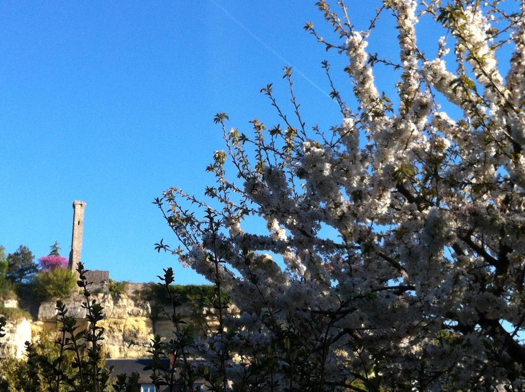 Loire Valley Medieval Getaway Holiday home Rochecorbon