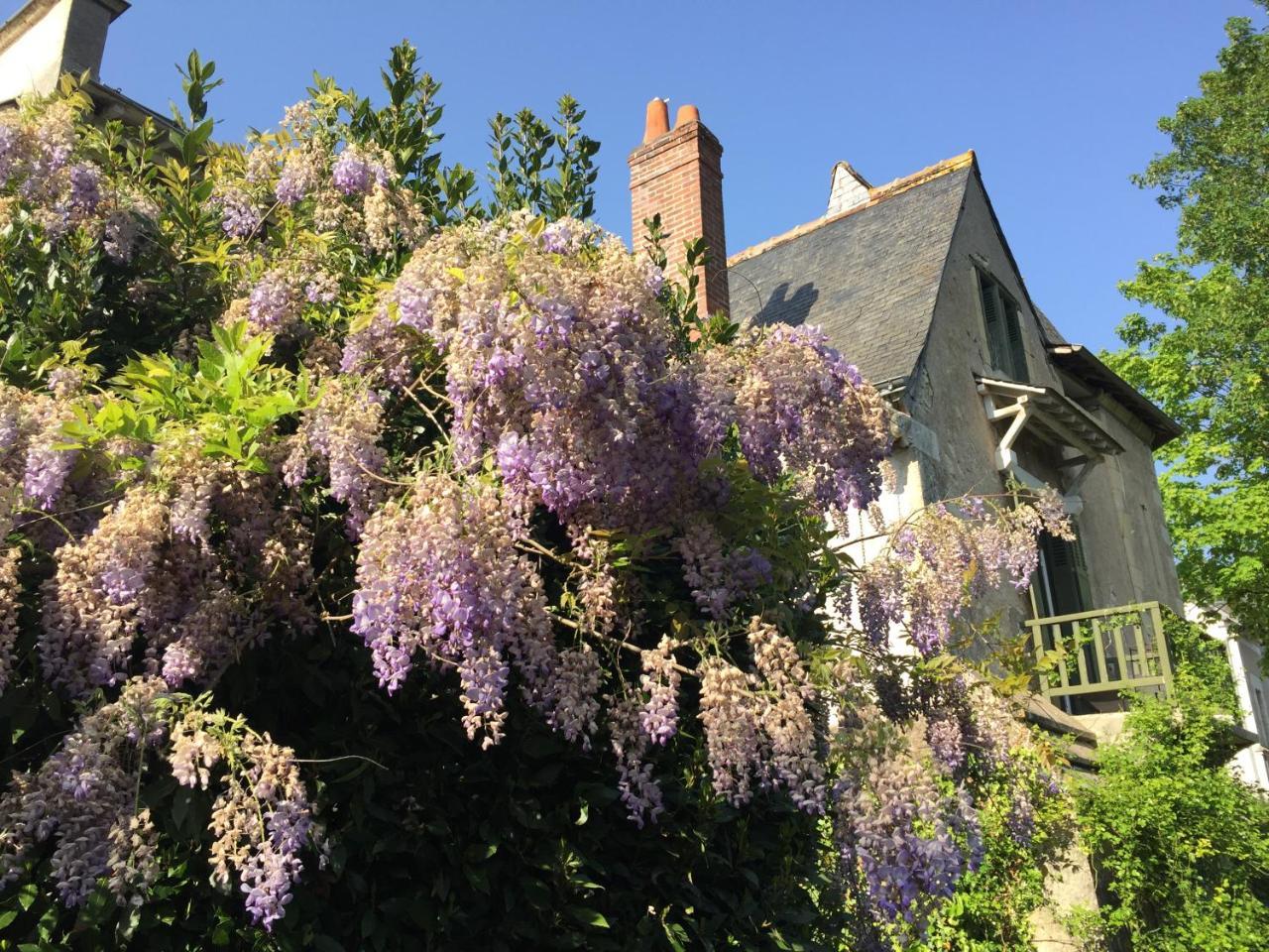 Loire Valley Medieval Getaway *